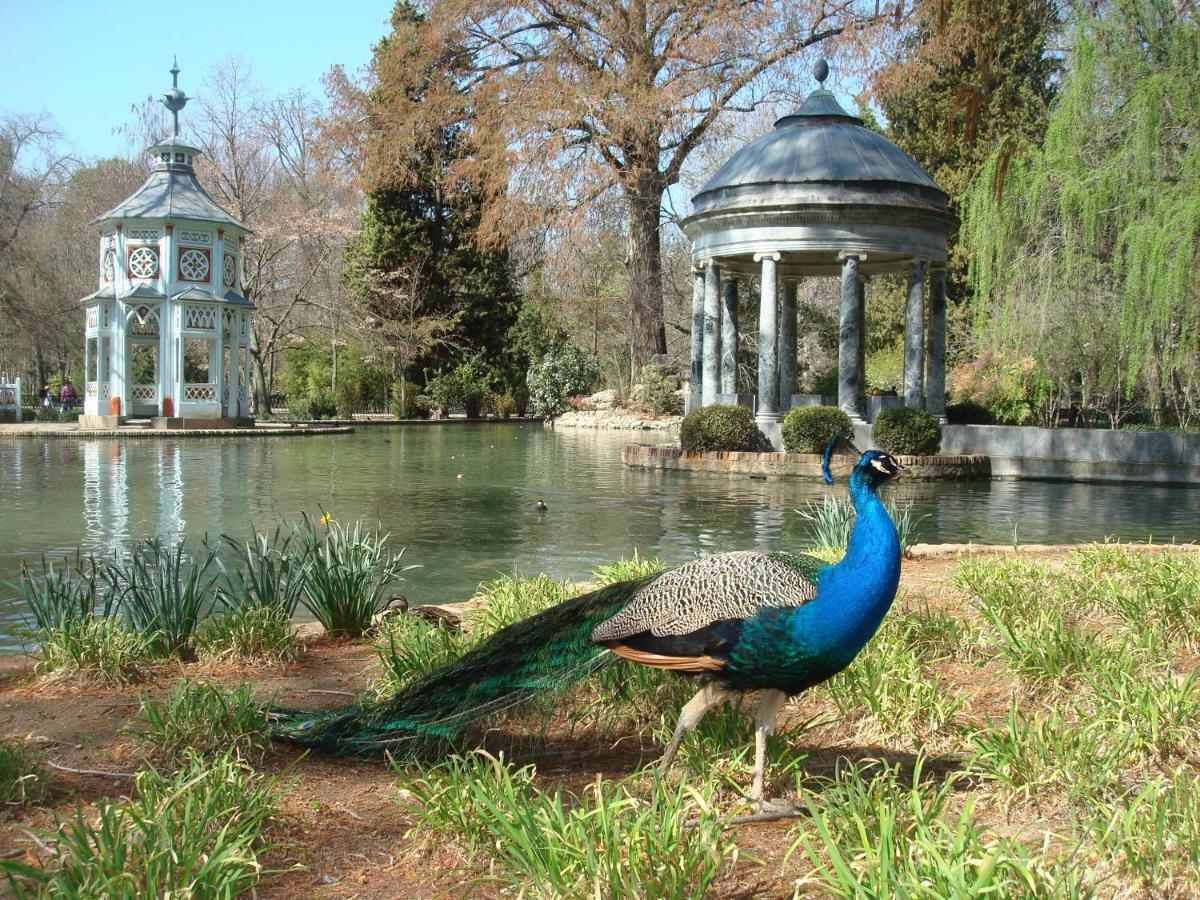Posada De La Costurera De Aranjuez Eksteriør billede